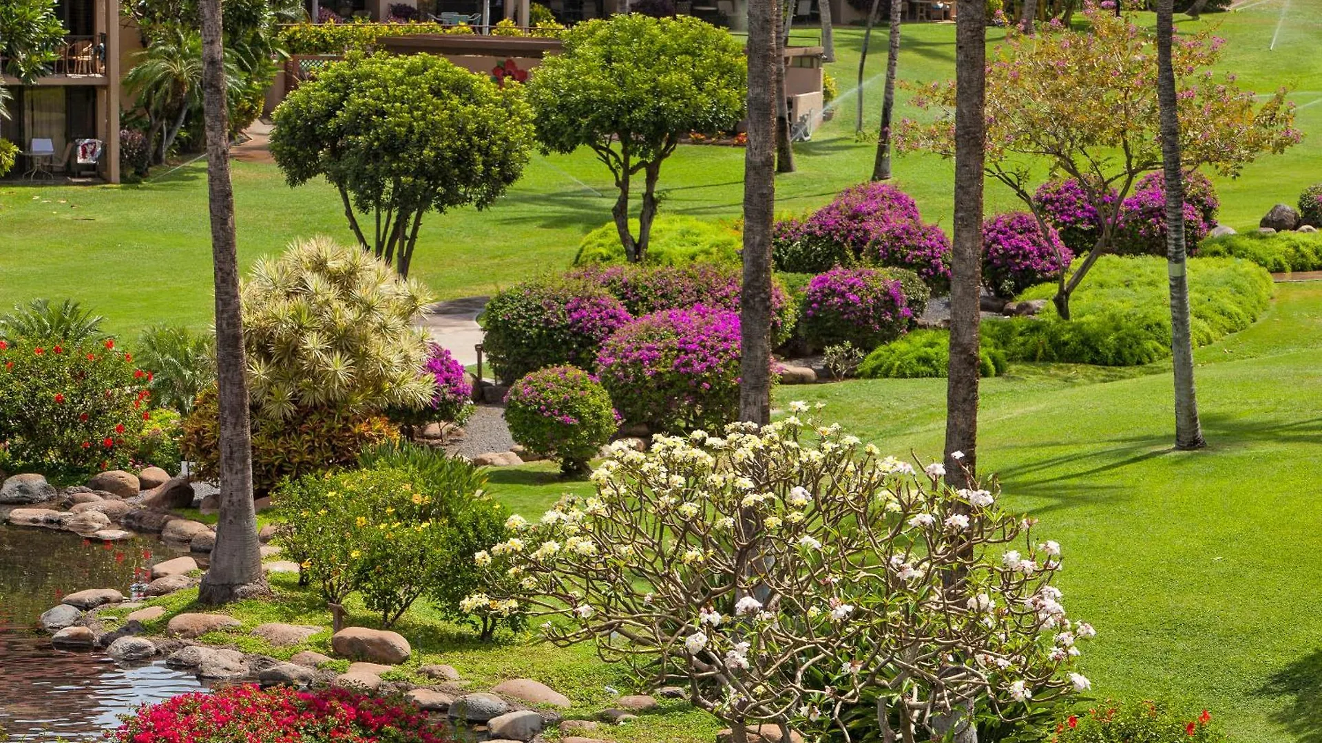 Kamaole Sands 10-405 - Mch Kihei Holiday home